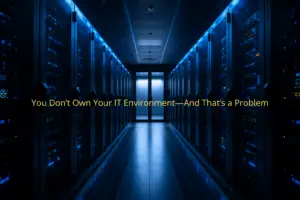 IT ownership risk and vendor-controlled business technology environment
